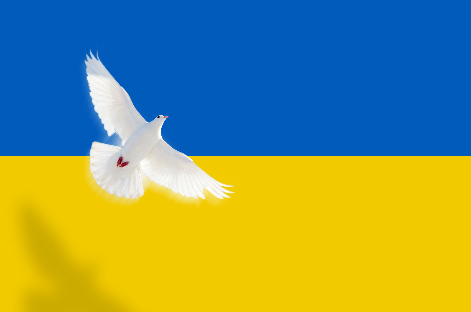 Krieg gegen die Ukraine – Stimmen aus der Christlichen Sozialethik